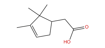 2,2,3-Trimethyl-3-cyclopentene-1-acetic acid